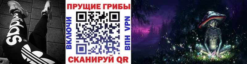 Галлюциногенные грибы Psilocybe  где купить   Северодвинск 